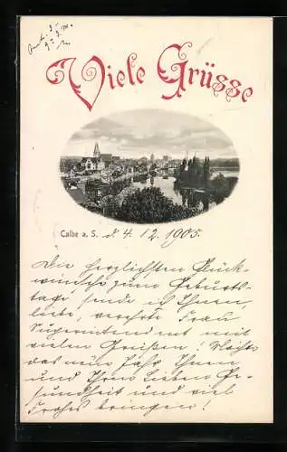 AK Calbe a. S., Ortsansicht mit Kirche