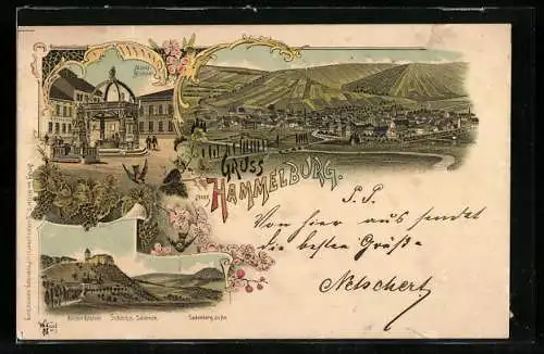 Lithographie Hammelburg, Marktbrunnen, Ortsansicht