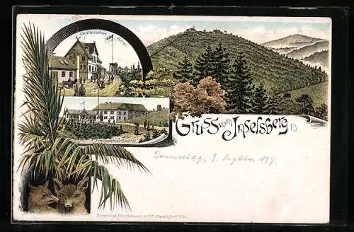 Lithographie Inselsberg, Panorama, Gothaisches Hotel & Preussischer Gasthof