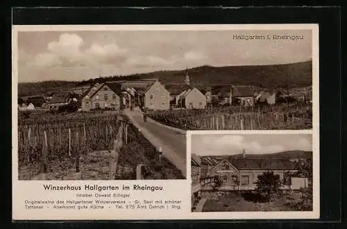 AK Hallgarten / Rheingau, Gasthaus Winzerhaus, Inh. Oswald Edinger, Ortsansicht