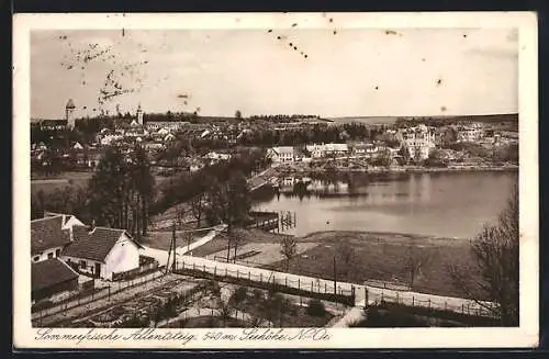AK Allentsteig /N.-Oe., Ortsansicht aus der Vogelschau