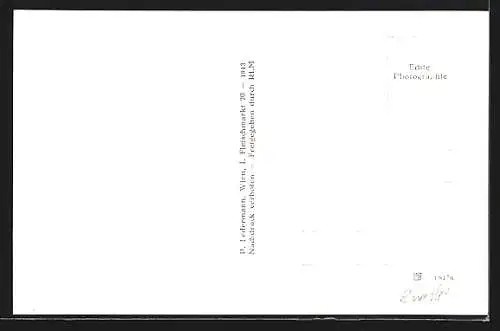 AK Allentsteig /N.-Oe., Ortsansicht am Wasser