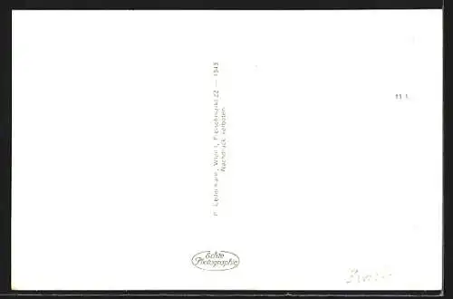 AK Allentsteig, Gesamtansicht