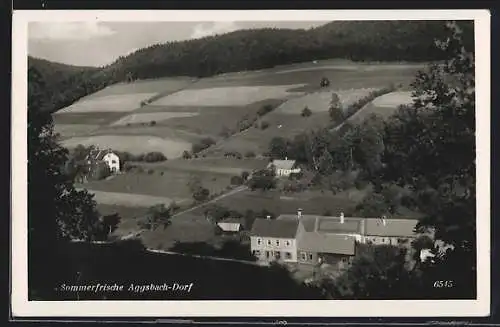 AK Aggsbach-Dorf, Ortsansicht am Berghang
