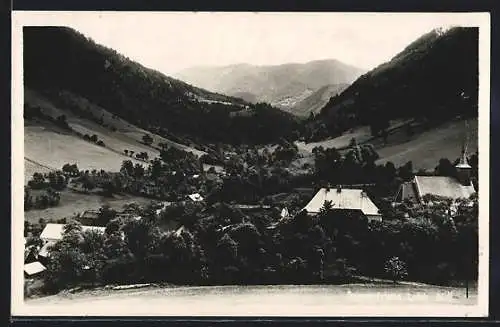 AK Loich /N.-Ö., Ortsansicht in der Talsenke