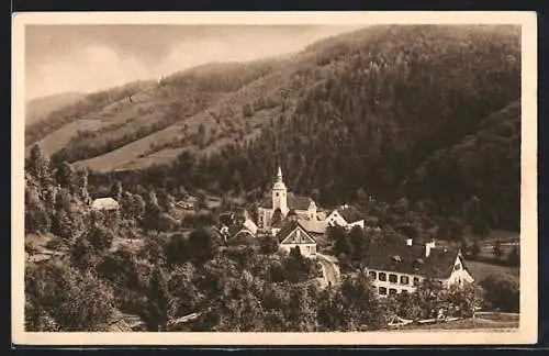 AK Mönichwald /Ost-Steiermark, Ortsansicht im Tal