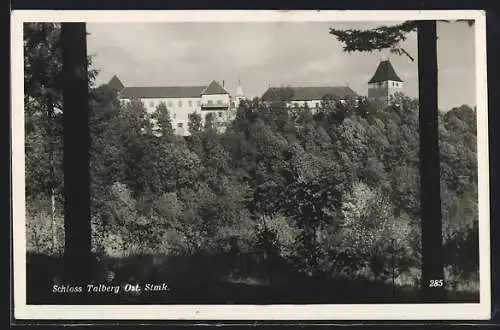 AK Schlag bei Thalberg /Ost-Stmk., Schloss Talberg vom Waldrand aus