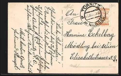 AK Türnitz /N.-Oe., Ortsansicht aus der Vogelschau