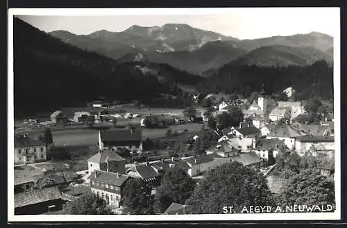 AK St. Aegyd a. Neuwald, Ortsansicht gegen die Berge