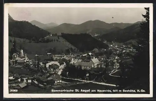 AK St. Aegyd am Neuwald, Die Ortschaft im Tallauf