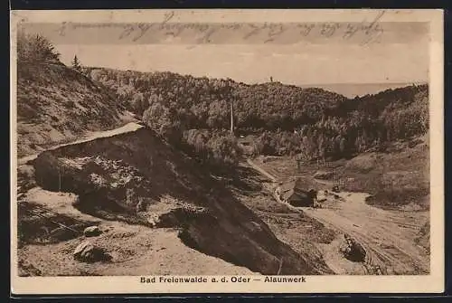 AK Bad Freienwalde a. Oder, Ansicht des Alaunwerks, Steinbruch