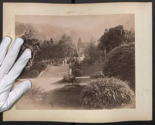 Fotografie unbekannter Fotograf, Ansicht Hongkong, Blick in den Botanischen Garten, Rückseite Kutsche in einer Allee