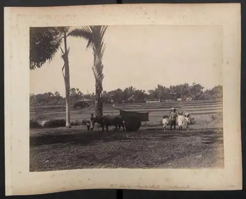 Fotografie unbekannter Fotograf, Ansicht Jakarta / Meester Cornelis, Strassenpartie a. d. Militärschule, Rückseite Karren