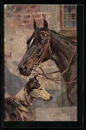 AK Reitpferd und Hund vor einem Stall