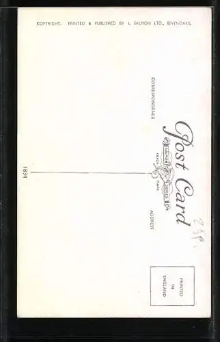 AK Mehlschwalben an ihrem Nest, House Martins