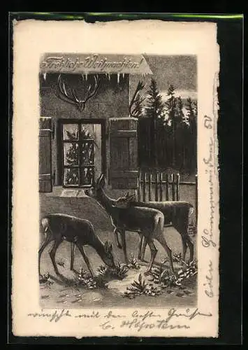 AK Rehe vor einem Haus, Blick in die Weihnachtsstube