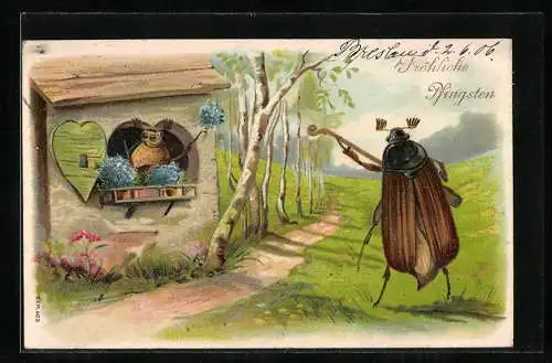 Präge-AK Maikäfer spielt der Liebsten vor, Pfingstgruss