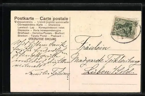 Präge-AK Maikäfer spielt der Liebsten vor, Pfingstgruss