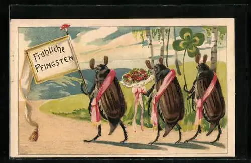 AK vermenschlichte Maikäfer tragen eine Fahne mit der Aufschrift Fröhliche Pfingsten