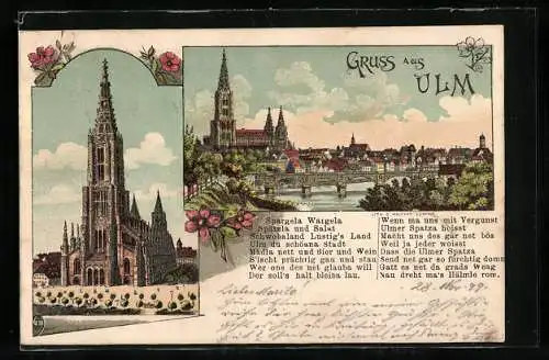 Lithographie Ulm / Donau, Stadtansicht mit Flusspartie