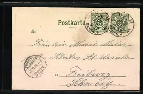 Lithographie Ulm / Donau, Stadtansicht mit Flusspartie