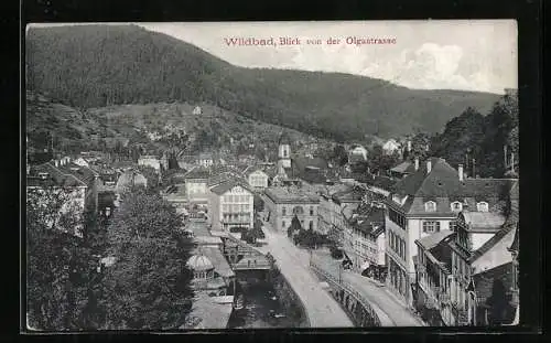 AK Bad Wildbad, Blick von der Olgastrasse