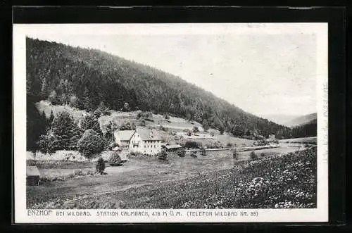 AK Enzhof bei Wildbad, Ortsansicht im Tal