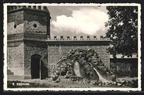 AK Felix fürdö, Höforrás