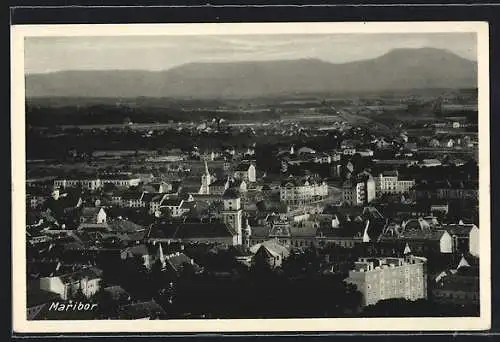 AK Maribor, Blick über die Dächer