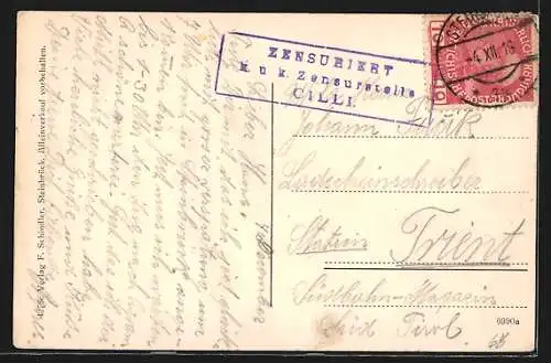 AK Steinbrück, Totalansicht aus der Vogelschau