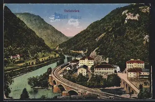 AK Steinbrück, Ortsansicht mit Eisenbahn und grossen Gebäuden