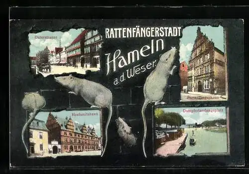 AK Hameln, Osterstrasse, Hochzeitshaus, Dampferlandungsplatz und Rattenfängerhaus, Ratte