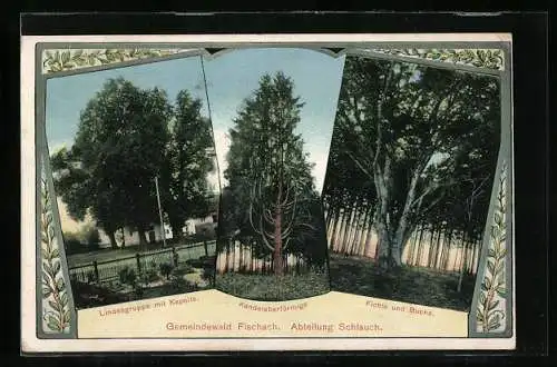 AK Fischach, Gemeindewald Abteilung Schlauch, Lindengruppe mit Kapelle