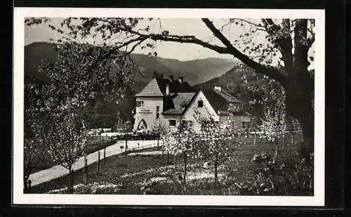 AK Edlach /N.-Ö., Pension-Restaurant Kronichhof