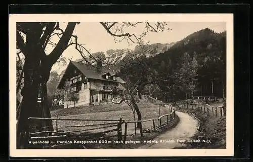 AK Edlach, Alpenhotel und Pension Knappenhof, Bes. Hedwig Kronich