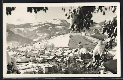 AK Türnitz, Ortsansicht im Schnee