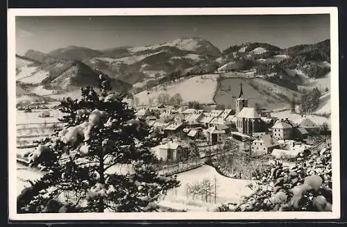 AK Türnitz /N.Ö., Ortsansicht im Winter
