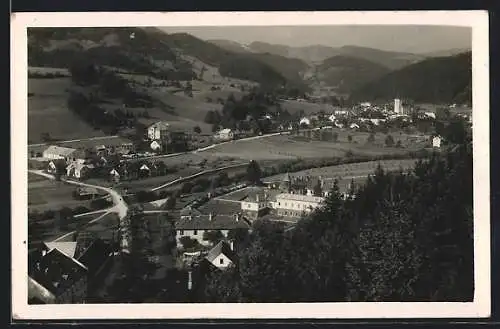 AK Türnitz, Ortsansicht mit Auhof