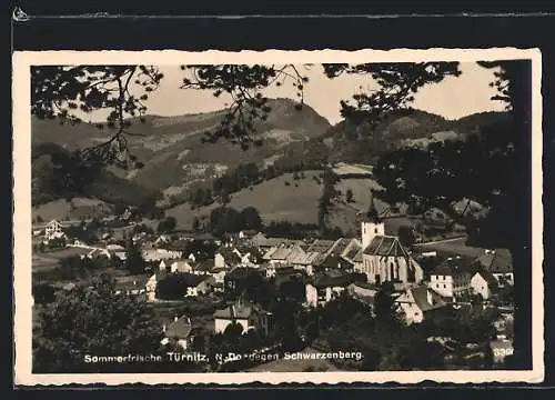 AK Türnitz /N.Ö., Ortsansicht gegen den Schwarzenberg