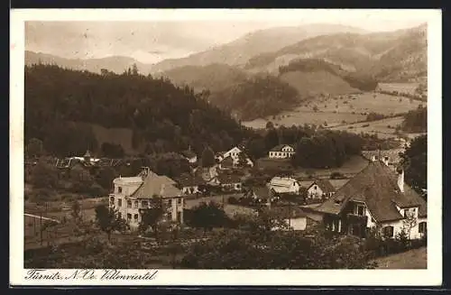 AK Türnitz /N.Ö., Blick auf das Villenviertel