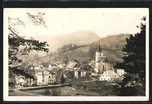 AK Türnitz /N.-Öst., Teilansicht mit Berghintergrund