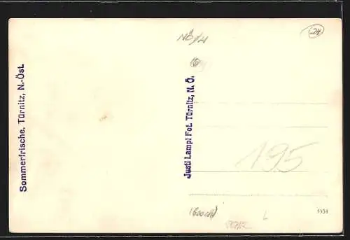 AK Türnitz /N.-Öst., Teilansicht mit Berghintergrund