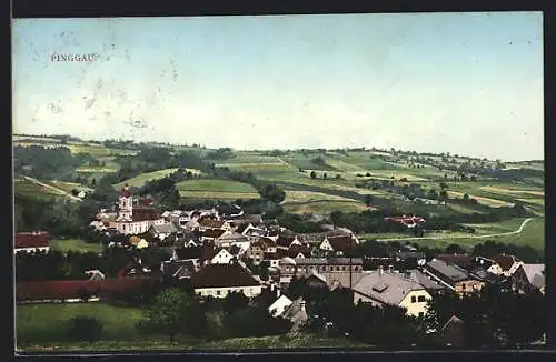 AK Pinggau, Ortsansicht mit Feldern