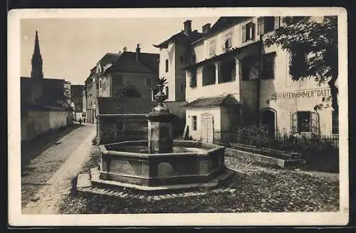AK Steyr a. d. Enns, Burggasse mit Brunnen