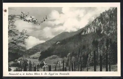 AK St. Aegyd am Neuwalde, Neuwald an der kalten Mürz