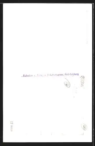 AK St. Jakob am Thurn, Ortsansicht mit Untersberg