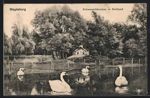 AK Magdeburg, Schwanenhäuschen im Stadtpark