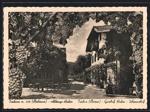 AK Terlano, Gasthof Huber mit Terrasse