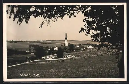 AK Aspach /O.-D., Ortsansicht mit Feldern