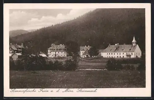 AK Frein a. d. Mürz, Hotel u. Pension Adolf Meyer